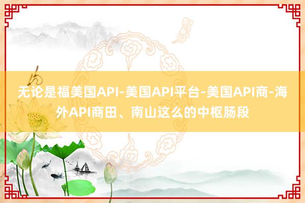 无论是福美国API-美国API平台-美国API商-海外API商田、南山这么的中枢肠段
